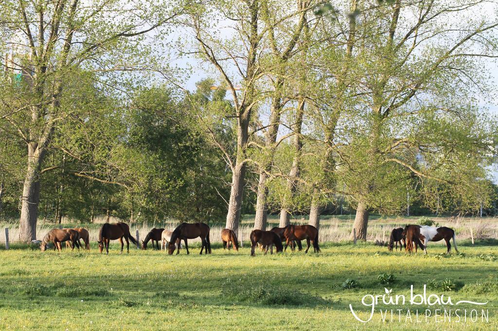 Apartment Gruenblau Relax &